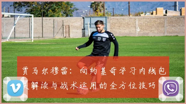 贾马尔穆雷：向约基奇学习内线包夹解读与战术运用的全方位技巧