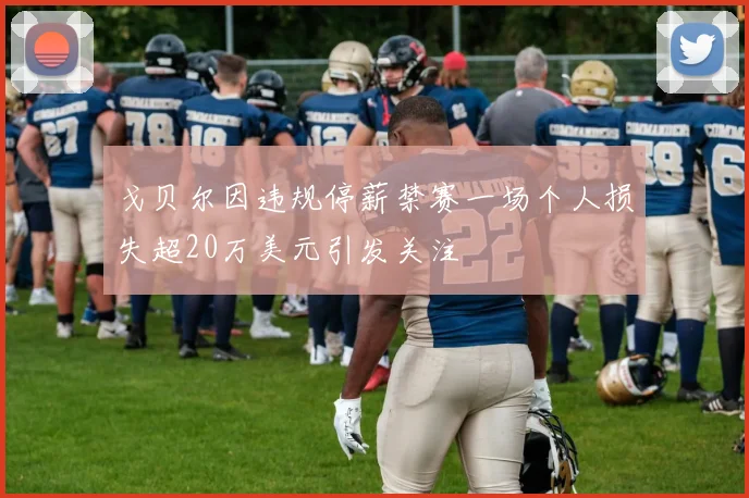 戈贝尔因违规停薪禁赛一场个人损失超20万美元引发关注