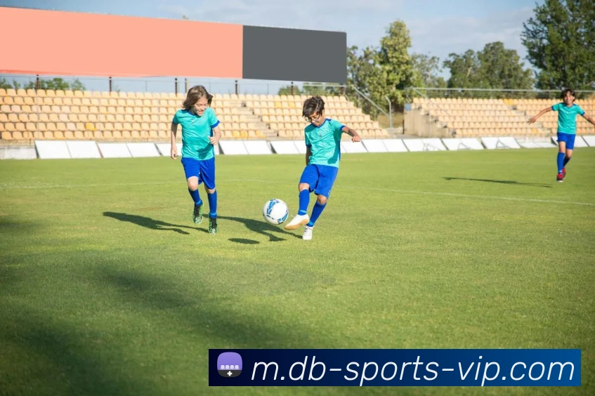 db电子体育官网APP 高清赛事图